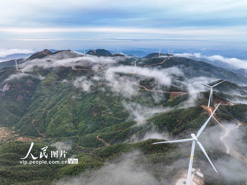 脚扭伤了怎么办问答网,全面解答你的疑问